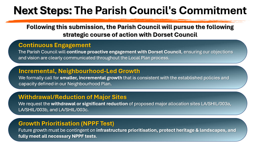 Next Steps: The Parish Council's Commitment